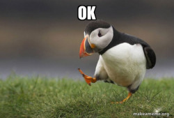 Unpopular Opinion Puffin