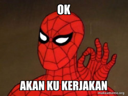 Spiderman - Care factor Zero