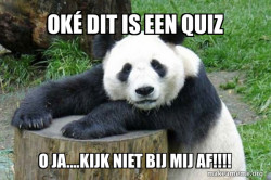 Confession Panda