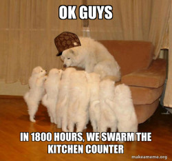 Scumbag Storytelling Dog
