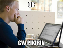 Programmer