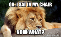 Confession Lion