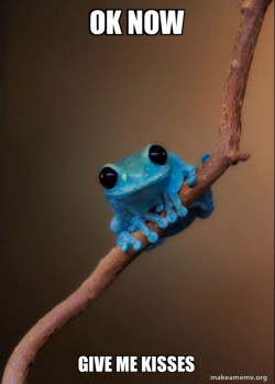 Small Fact Frog