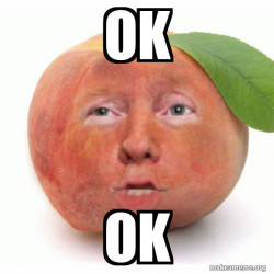 Impeached Donald Trump