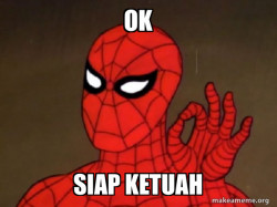 Spiderman - Care factor Zero