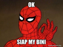 Spiderman - Care factor Zero