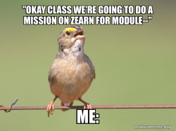Common Opinion Sparrow