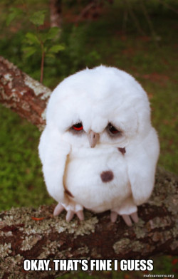 Sad Owl