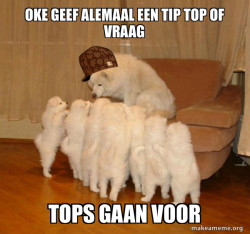 Scumbag Storytelling Dog