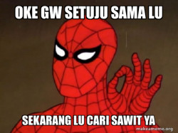 Spiderman - Care factor Zero