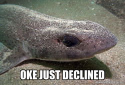 Dirty Joke Dogfish