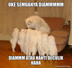 Storytelling Dog