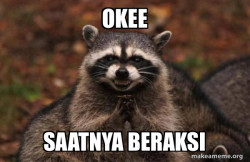 Evil Plotting Raccoon
