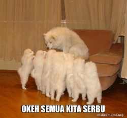 Storytelling Dog