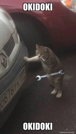 Mechanic Cat