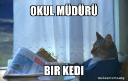 Sophisticated Cat
