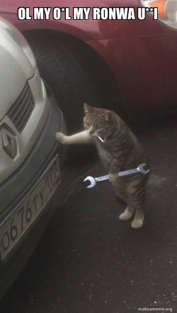 Mechanic Cat
