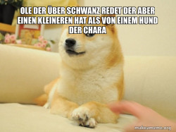 Doge