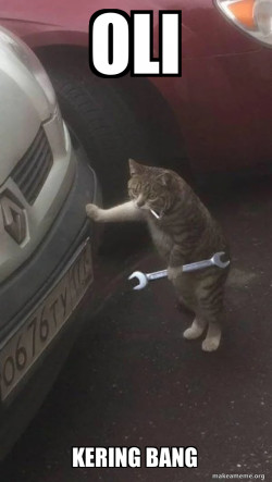 Mechanic Cat