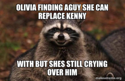 Evil Plotting Raccoon
