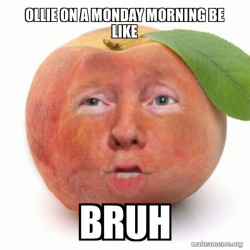 Impeached Donald Trump