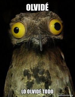 Weird Stuff I do Potoo
