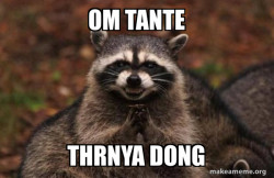 Evil Plotting Raccoon