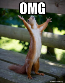 Happy Squirrel