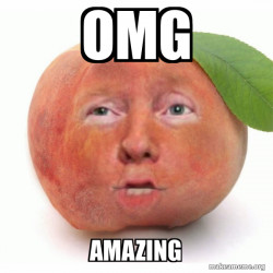 Impeached Donald Trump