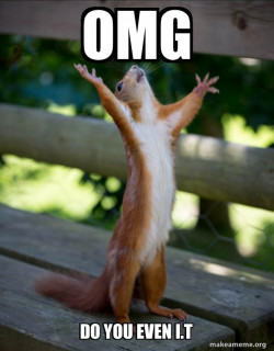 Happy Squirrel