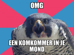 Millennial Falcon