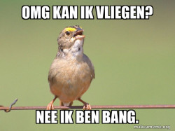 Vliegangst