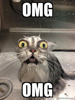 OMG
