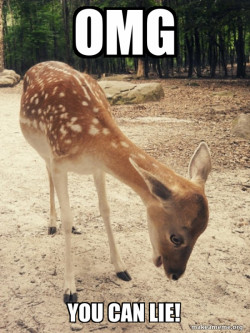 O M G Deer