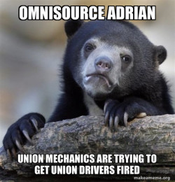 Confession Bear