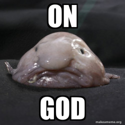 Blobfish
