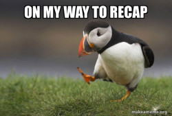 Unpopular Opinion Puffin