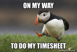 Unpopular Opinion Puffin