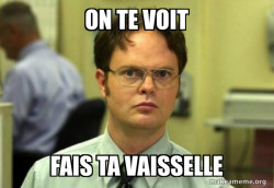 Schrute Facts (Dwight Schrute from The Office)