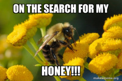 Good Guy Bee