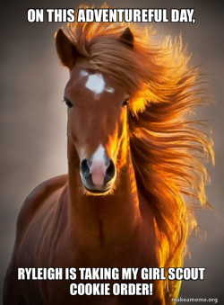 Ridiculously photogenic horse