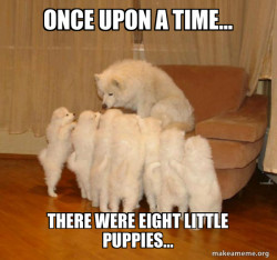Storytelling Dog