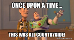 Buzz and Woody (Toy Story) Meme