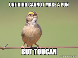 Common Opinion Sparrow