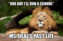 Contemplative Lion