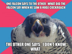 Millennial Falcon