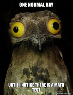 Weird Stuff I do Potoo