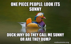 Fashionable Advice Mallard