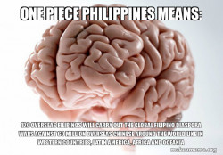 One Piece Philippines Means: 120 Overseas Filipinos will carry out the Global Filipino Diaspora Wars against 60 Million Overseas Chinese around the World like in Western Countries, Latin America, Africa and Oceania
