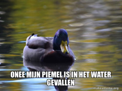 Zen Advice Mallard